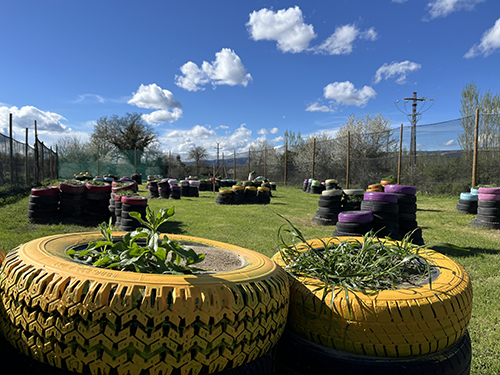 terrain paintball