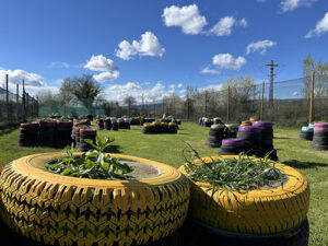 terrain paintball