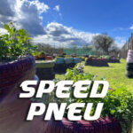 Grand terrain FUN de pneus de toutes les couleurs, DES PLANTES POUSSENT DANS LES PNEUS!