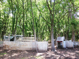 photo-25