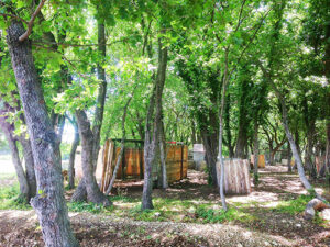 photo-31