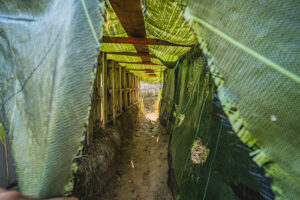 photo aventure paintball la Roque (26 sur 146)